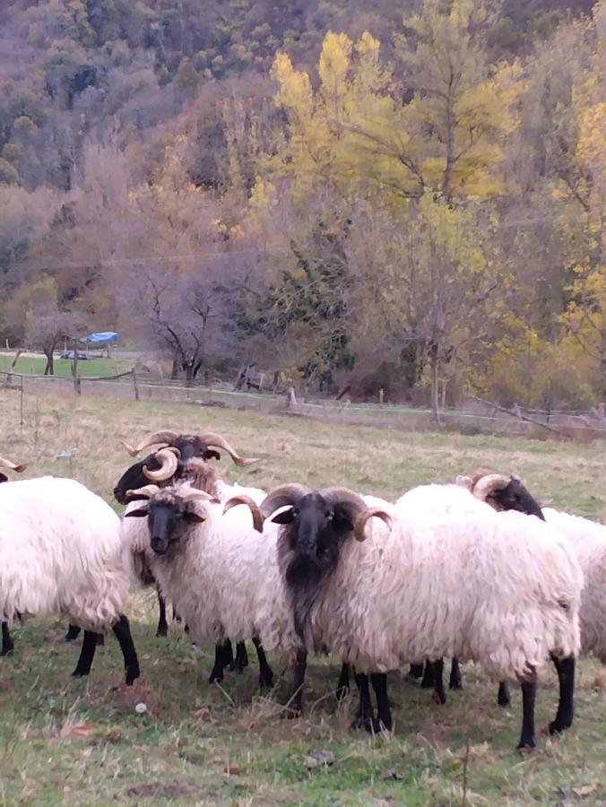 Casa Rural El Enebral En Potes Picos De Euopa Colio Kültér fotó