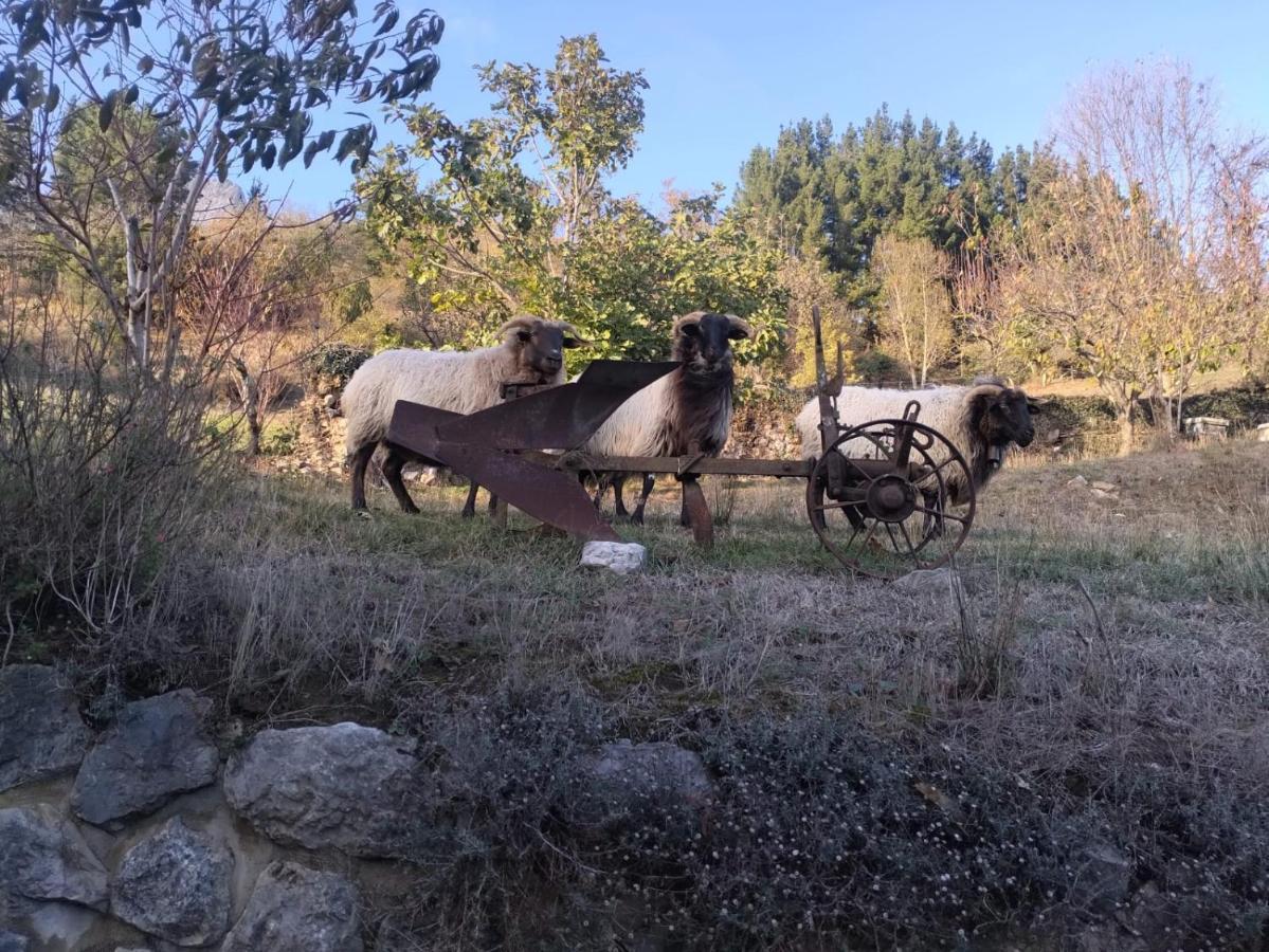 Casa Rural El Enebral En Potes Picos De Euopa Colio Kültér fotó